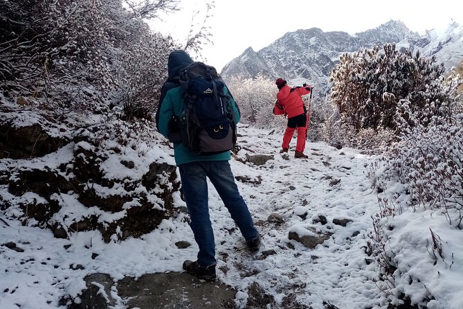 10 Days Tour in Kathmandu Langtang Valley Trek - Accommodation Details for Overnight Stays