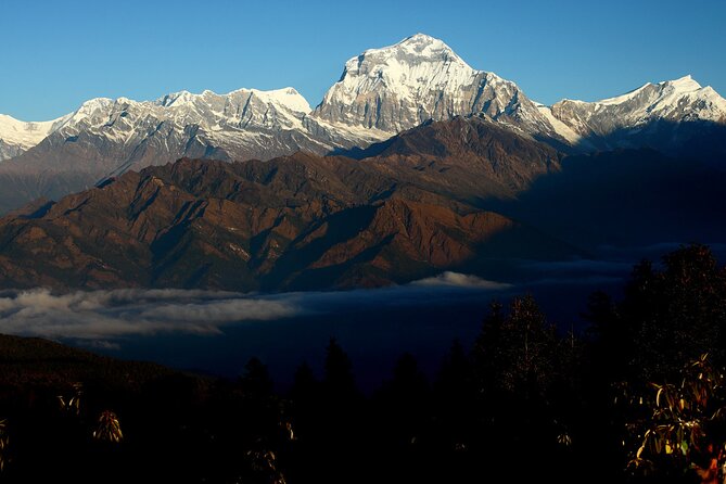 12-Day Nepal Adventure Trek With Jungle Safari - Last Words
