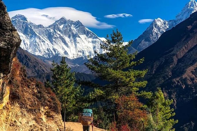 12 Days Annapurna Round Trek From Pokhara - Pricing Information