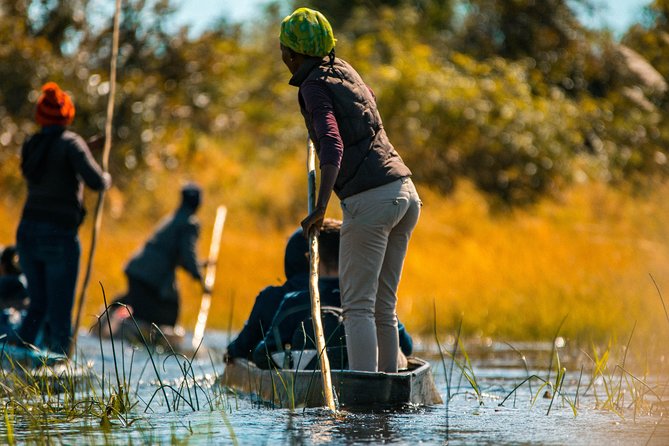 14-Day Kruger to the Delta, Chobe & Victoria Falls (Small Group Safari) - Meal Plans and Dietary Requirements