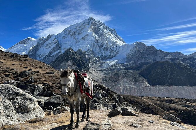 14 Days Everest Basecamp Trekking From Kathmandu - Day 3: Phakding to Namche Bazaar