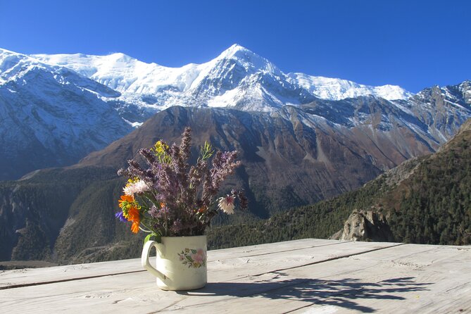 15-Day Private Annapurna Circuit Trek From Kathmandu - Acclimatization and Altitudes