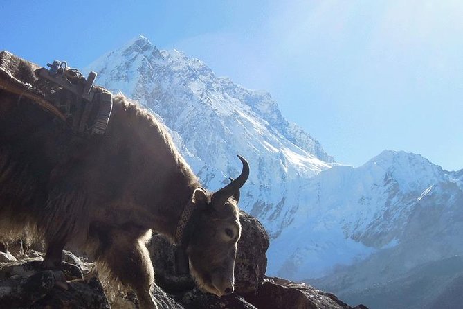 16 Days Everest Base Camp Trek - Pricing Details