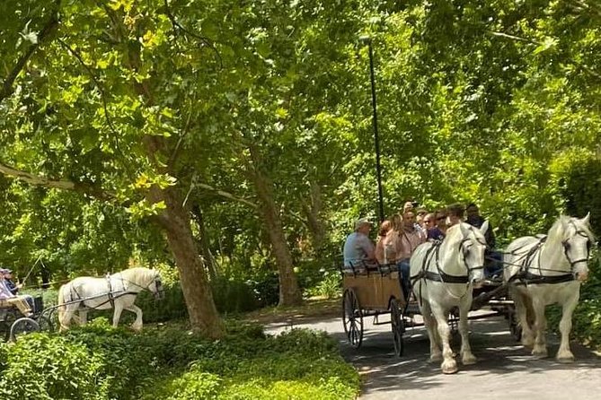 1h30m – Wine Tasting Carriage Trail - Inclusions