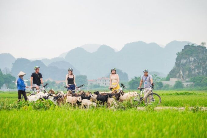 2 Day Exploring Ninh Binh With Bungalow Stay - Customer Reviews