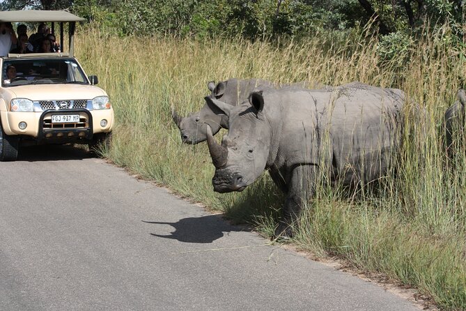 2-Day Safari Tour in Kruger National Park - Packing List Essentials