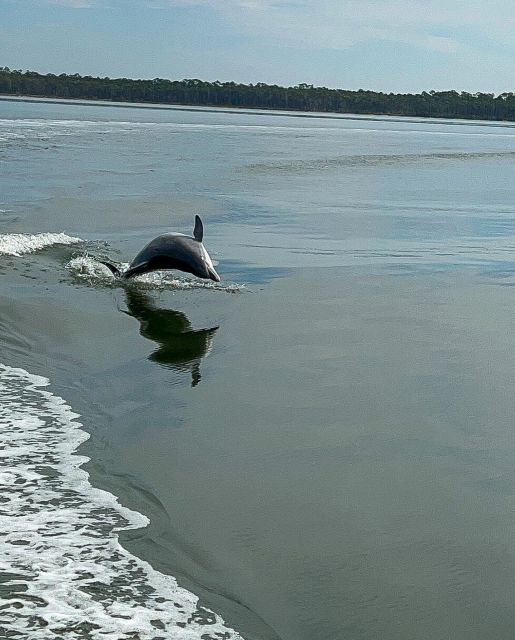 2-Hour Dolphin and Nature Eco Tour From Orange Beach - Highlights and Guarantees