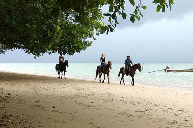 2 Hour Horse Riding Tour On The Beach Krabi - Duration