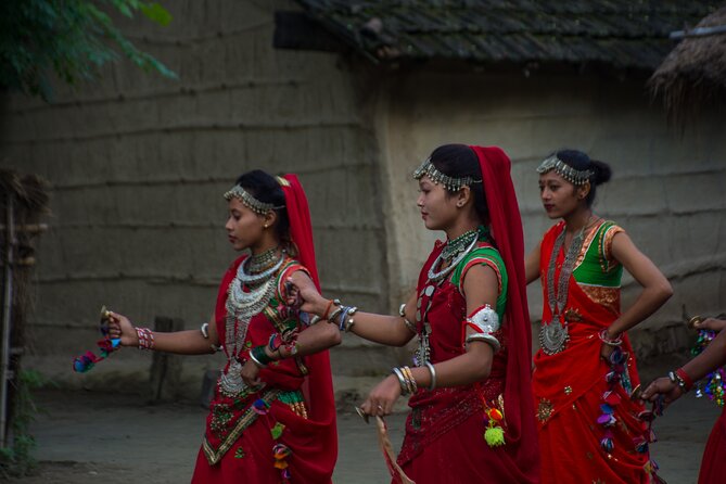 2 Hours Cultural Program at Bardiya - Cultural Performances