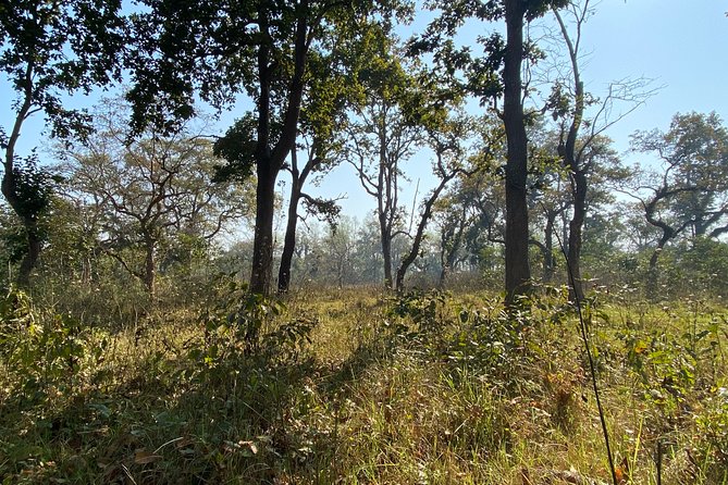 2 Nights 3 Days Chitwan Jungle Safari Tour - Safari Activities