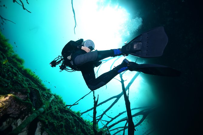 2-Tank Cenote Certified Dive in Tulum - Booking Process