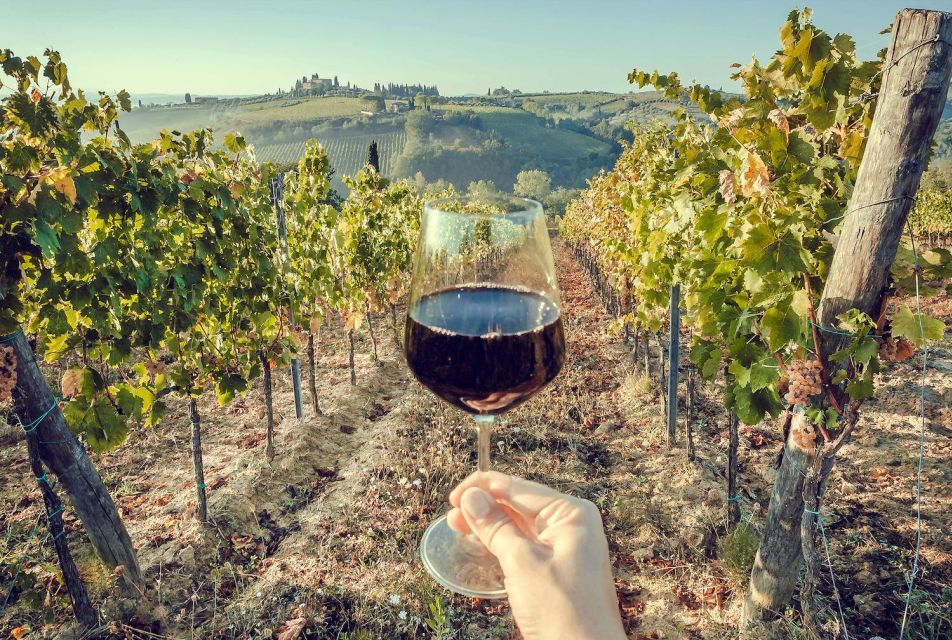 2 Wineries Chianti Wine Tasting Private Tour - Inclusions