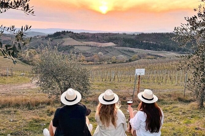 2 Wineries Chianti Wine Tasting & Vineyards Walk Private Tour - Private Guide