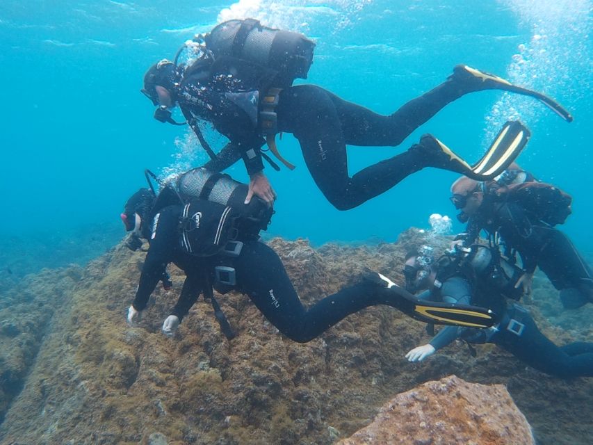 20 Minute Try Dive for Beginners - Safety Procedures and Equipment Overview