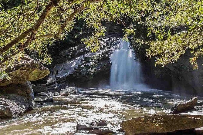 2D1N Mae Wang National Park Jungle Trekking Adventure From Chiang Mai - Local Cuisine Experience