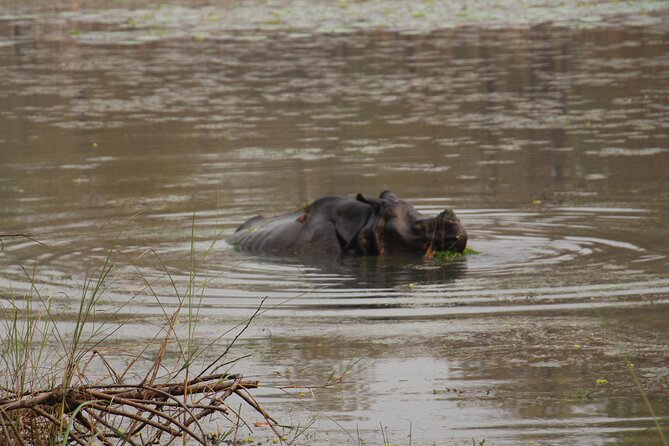 3-Day Chitwan National Park Jungle Safari Tour Package With Pick up - Booking and Reservation Process