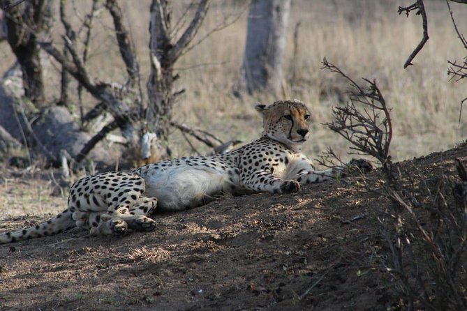 3 Day Greater Kruger National Park Adventure Safari - Common questions