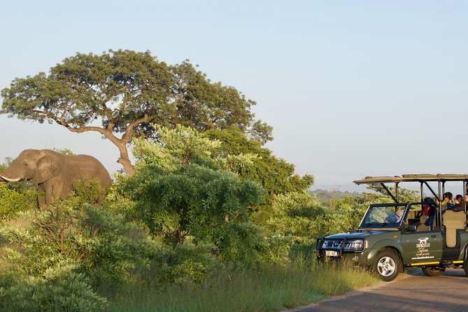 3-Day Kruger National Park Safari Including Breakfast and Dinner - Cancellation Policy Details