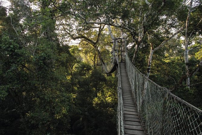 3 Day Tambopata Amazon Jungle Tour at Inkaterra Reserva Amazónica - Last Words