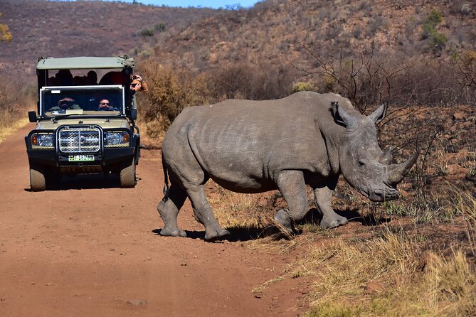 3-Hour Private Game Drive of Pilanesberg National Park - Booking Confirmation