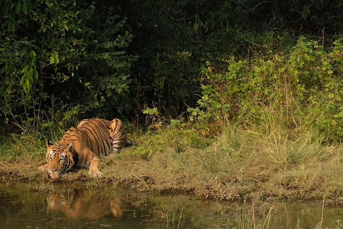 3-Hour Private Safari in Sariska Tiger Reserve - Booking Process Overview