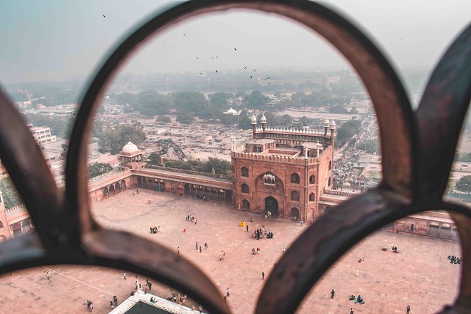 3-Hour Small Group Old Delhi Rickshaw Ride & Guided Tour - Reviews and Customer Feedback