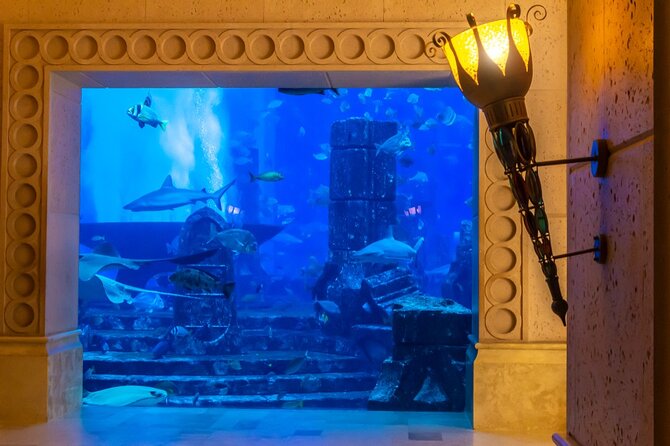 3-Hour the Lost Chambers Aquarium Tickets With Pick and Drop off - Inclusions