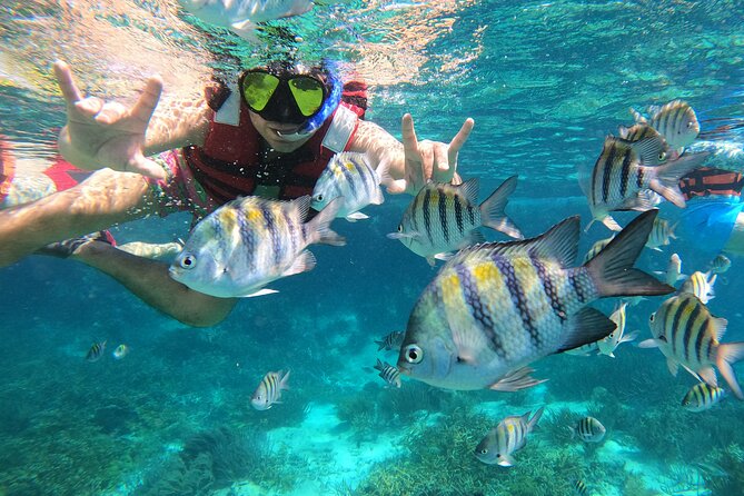 3 Hours VIP Semiprivate Tour Isla Mujeres Full Snorkeling Experience - Important Details and Recommendations