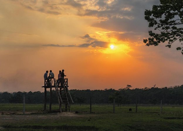 3 Nights 4 Days Chitwan National Park With Tower Night Stay - Key Points
