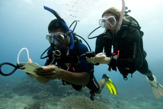 4 Day Certified PADI Open Water Scuba Diver in Dubai - Reviews and Ratings