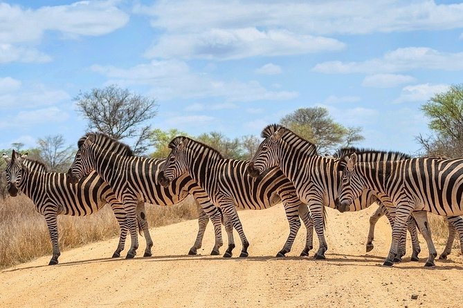 4-Day Kruger National Park & Panorama Route Tented Safari - Viator Assistance & Support