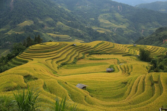 4-Day Tour in Ha Giang Loop With Professional Guide - Transportation and Meals Information