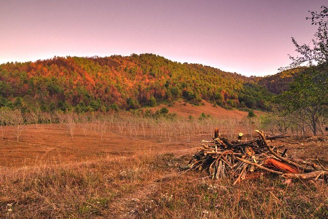 4 Days Chitlang Village Homestay Community Hike - Experience Highlights