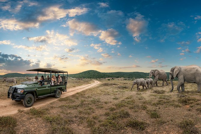 4 Days Kruger Park Big 5 Safari and Awesome Panorama Route - Accommodation Details
