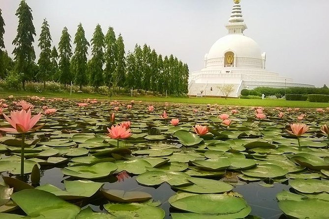 4 Days Lumbini Buddhist Circuit Tour From Kathmandu - Meals and Accommodation