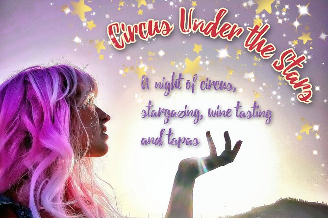 4-Hour Circus Under the Stars - Venue Accessibility Details