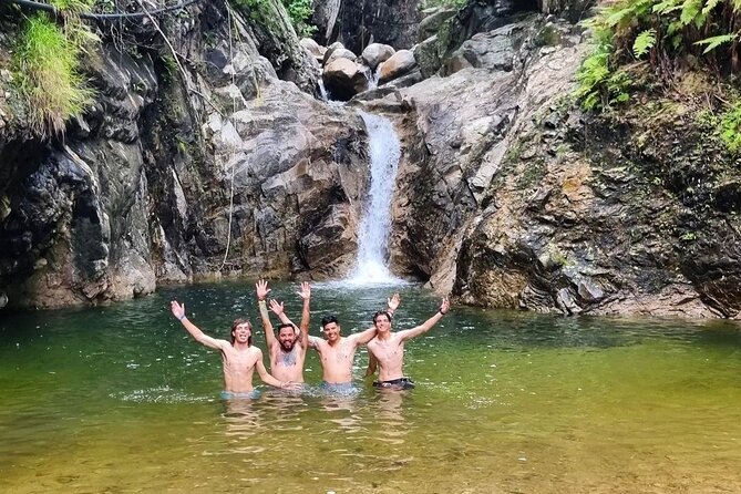 4-Hour Jungle Hike and Waterfall Swim - Traveler Reviews