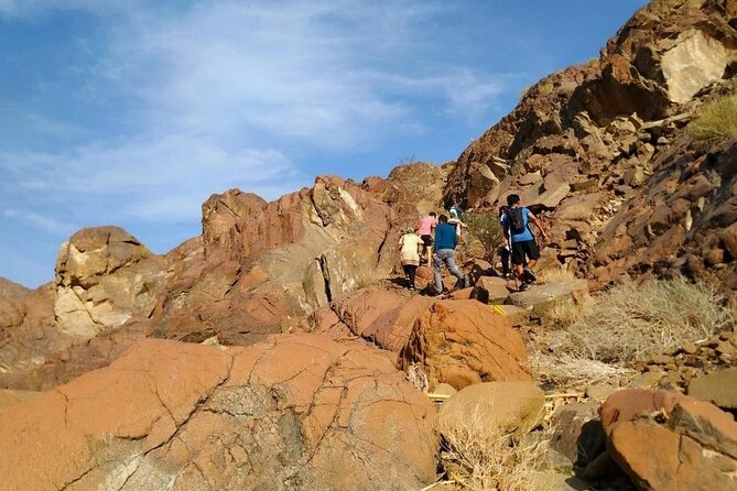 4 Hours Adventure Trip In Hatta Dubai - Included Amenities