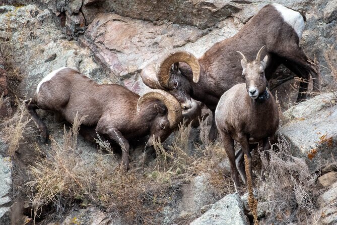 4 or 6 Hour Private Geology Tour in Rocky Mountain National Park - Itinerary Details