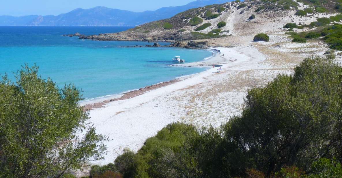 4x4 Agriates Desert and Beach Excursion From Calvi - Experience Highlights and Itinerary