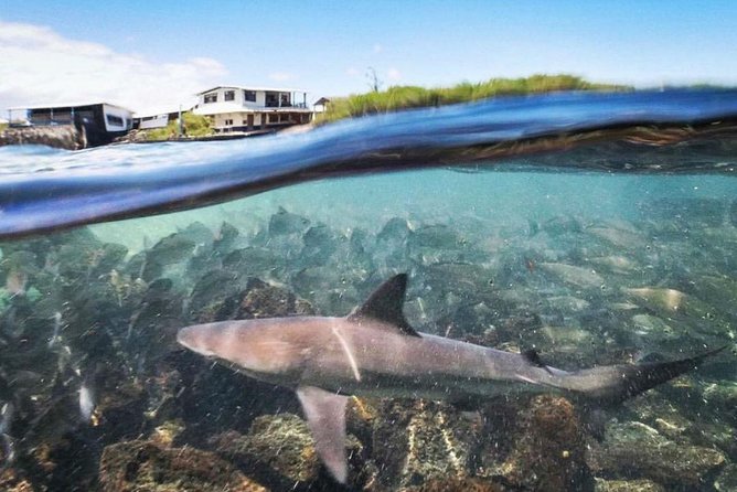 5-day Galapagos on a Budget Experience - Exciting Wildlife Encounters