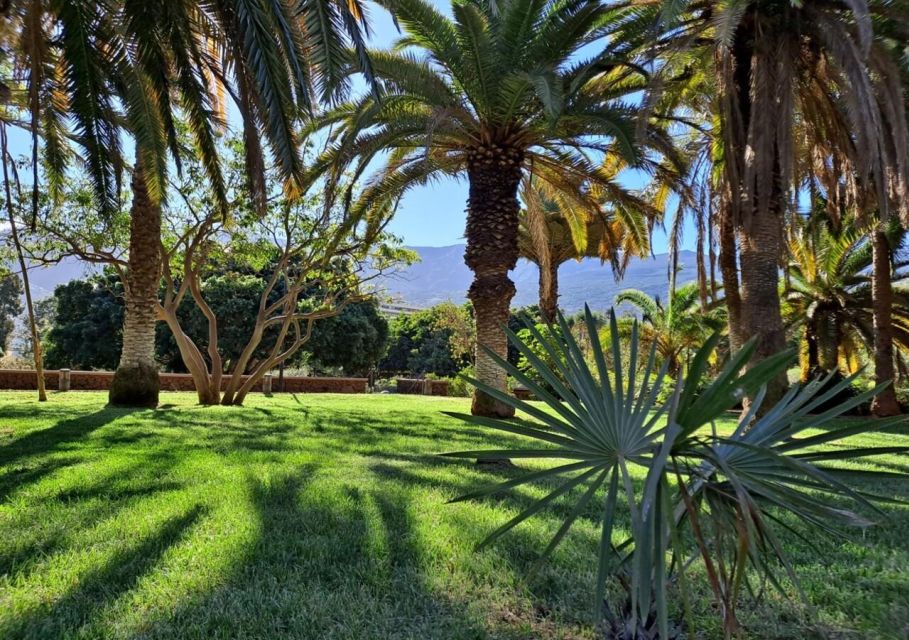 5 Day Wellness & Relaxation Break in Northern Tenerife - Location Details