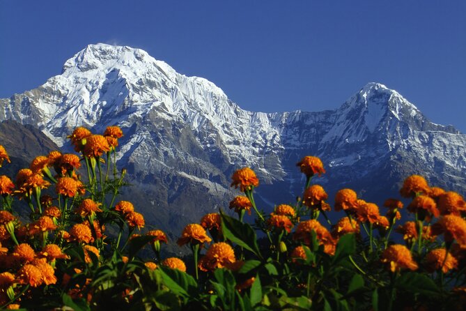 5 Days Annapurna Base Camp Trek - Acclimatization and Altitude Tips