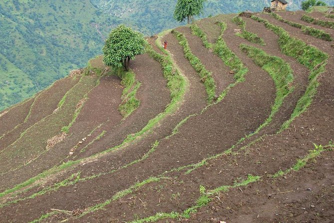 5 Days Historical Barpak Village Homestay Hike - Cultural Experiences