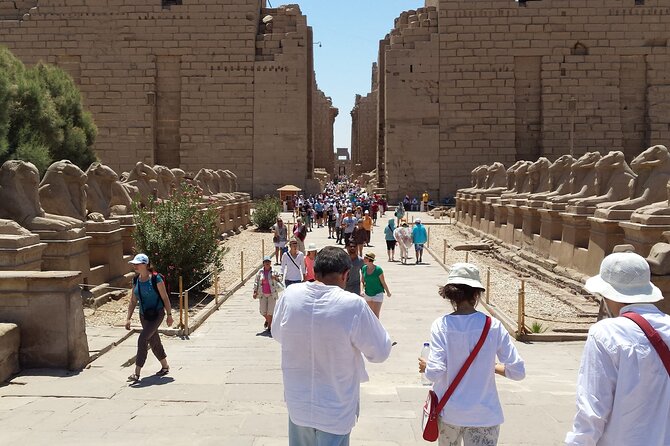 5 Days Private Guided Nile River Cruise Tour From Luxor to Aswan - Inclusions and Amenities Provided