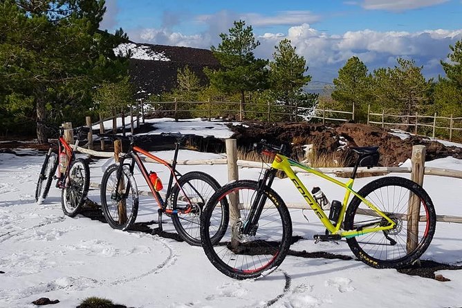 5-Hour Mount Etna Mountain Biking Private Tour From Catania - Customer Reviews