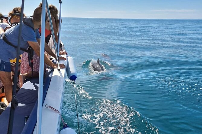 5 Hours Tour in Ria Formosa - Scenic Boat Ride