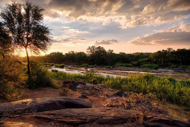 6 Day Budget Kruger National Park Safari - Meal Options and Dining Experience