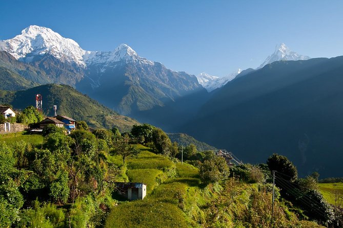 6 Days Ghorepani Ghandruk Short Annapurna Homestay Trek - Meals and Dining
