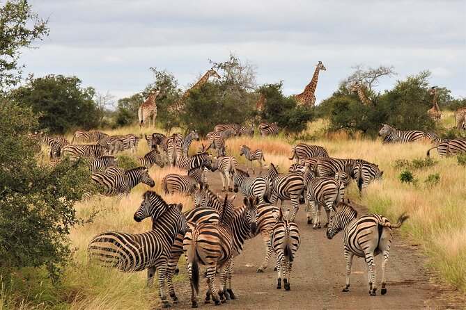 6 Days Safari and Culinary Private Tour in South Africa - Accommodation Details